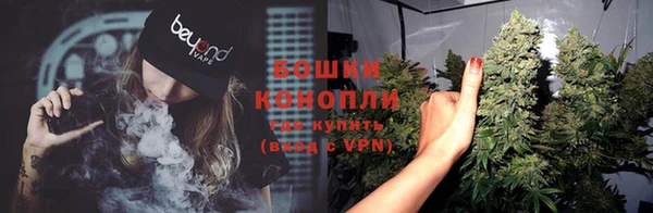 гидра Белокуриха