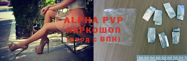 гидра Белокуриха