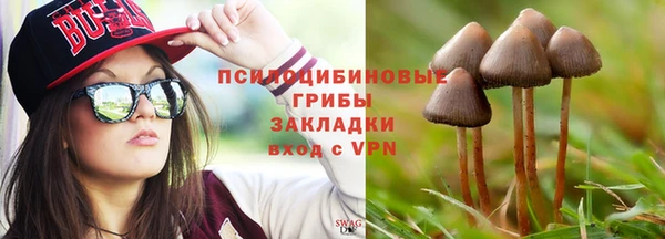 СК Данков