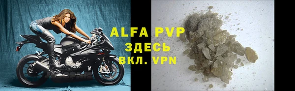 гидра Белокуриха