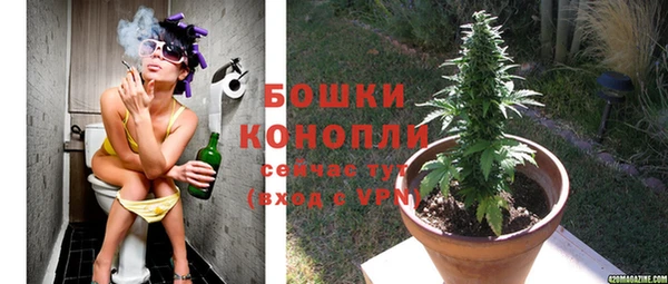 гидра Белокуриха