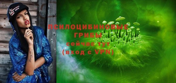 стаф Белоозёрский