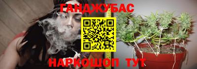 мдма Камышлов