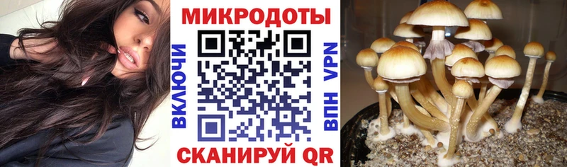 Псилоцибиновые грибы Psilocybe  цена наркотик  Кстово 