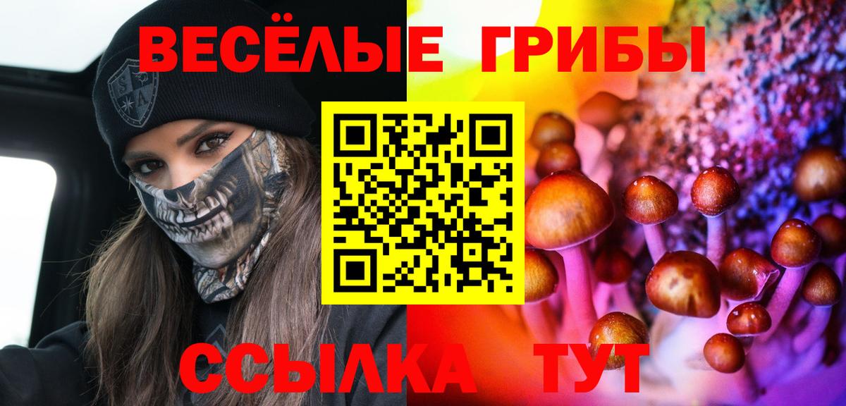 Галлюциногенные грибы GOLDEN TEACHER Кстово