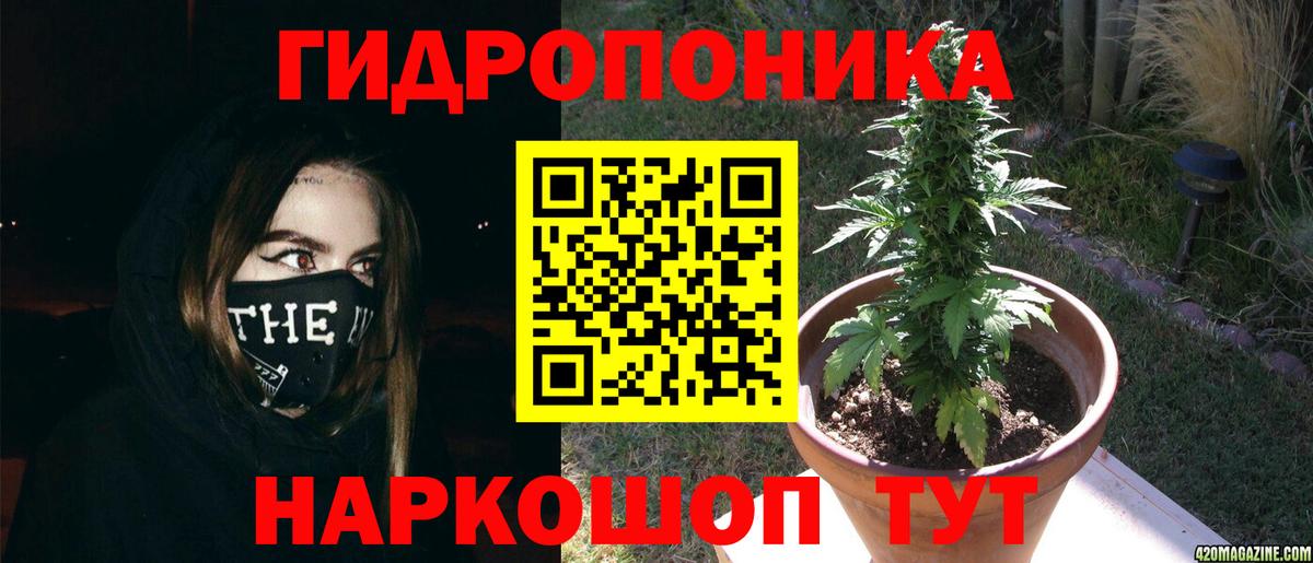 Шишки марихуана план Кстово